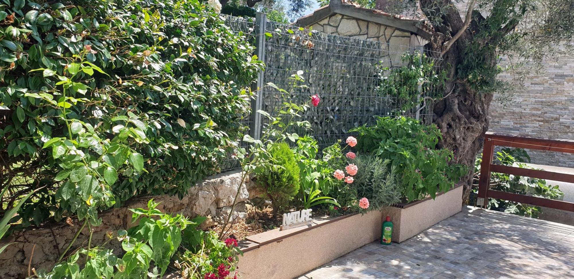 Apartment Bradex Dreams Bečići Pokoj fotografie